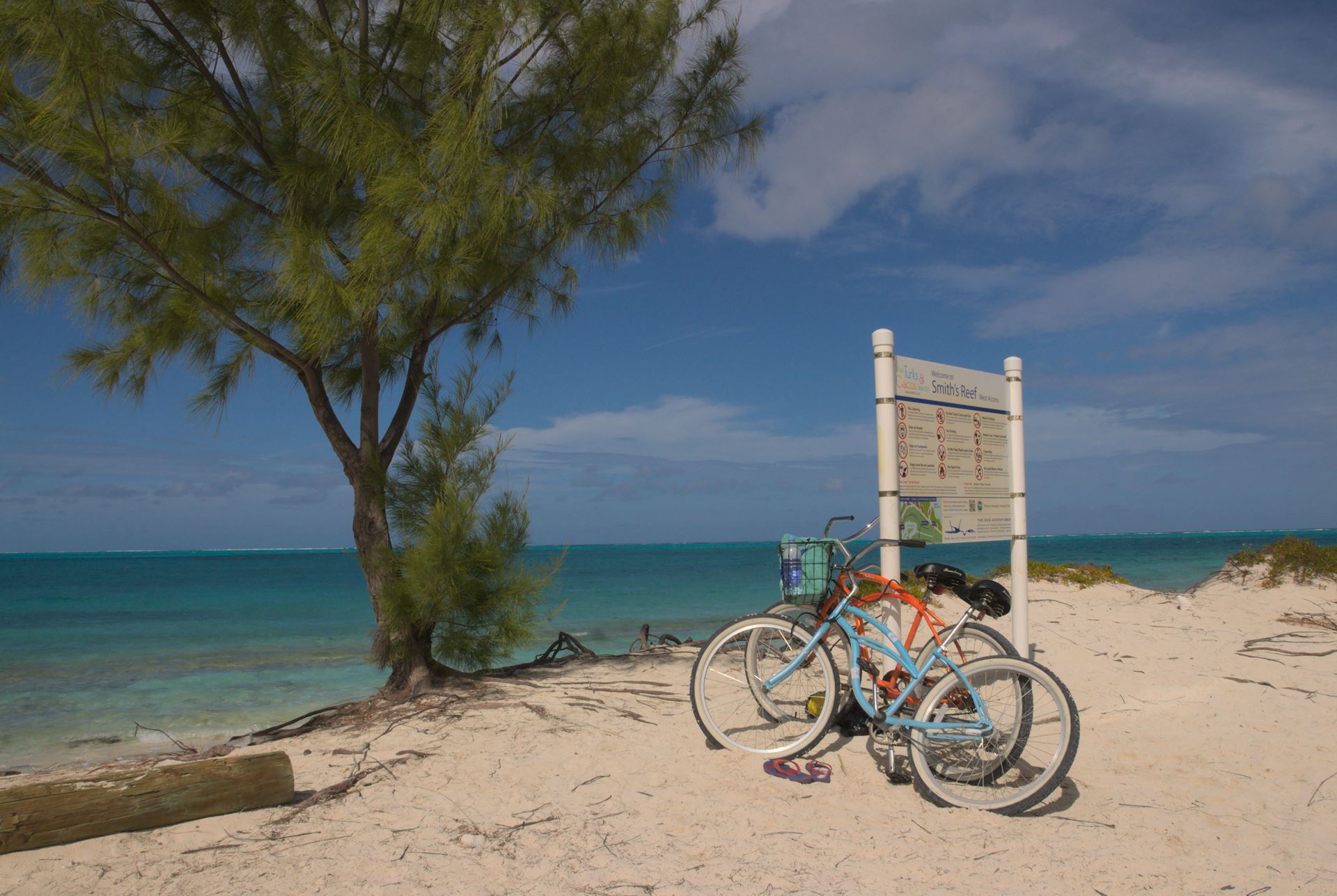 Two bicycles leaning against a sign, plus a tree, all on a white beach, with ocean and sky in the background